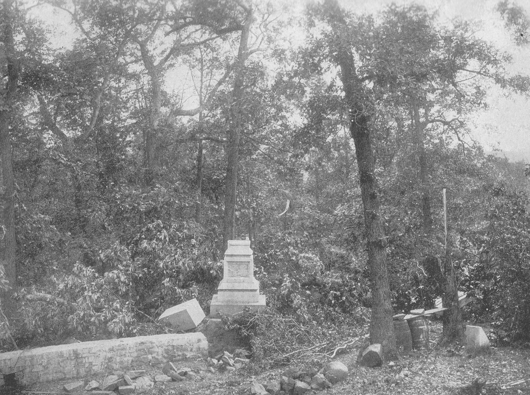 Gettyburg Battle New Civil War Photo: Bullet-Ridden Trees Culps Hill 6 Sizes