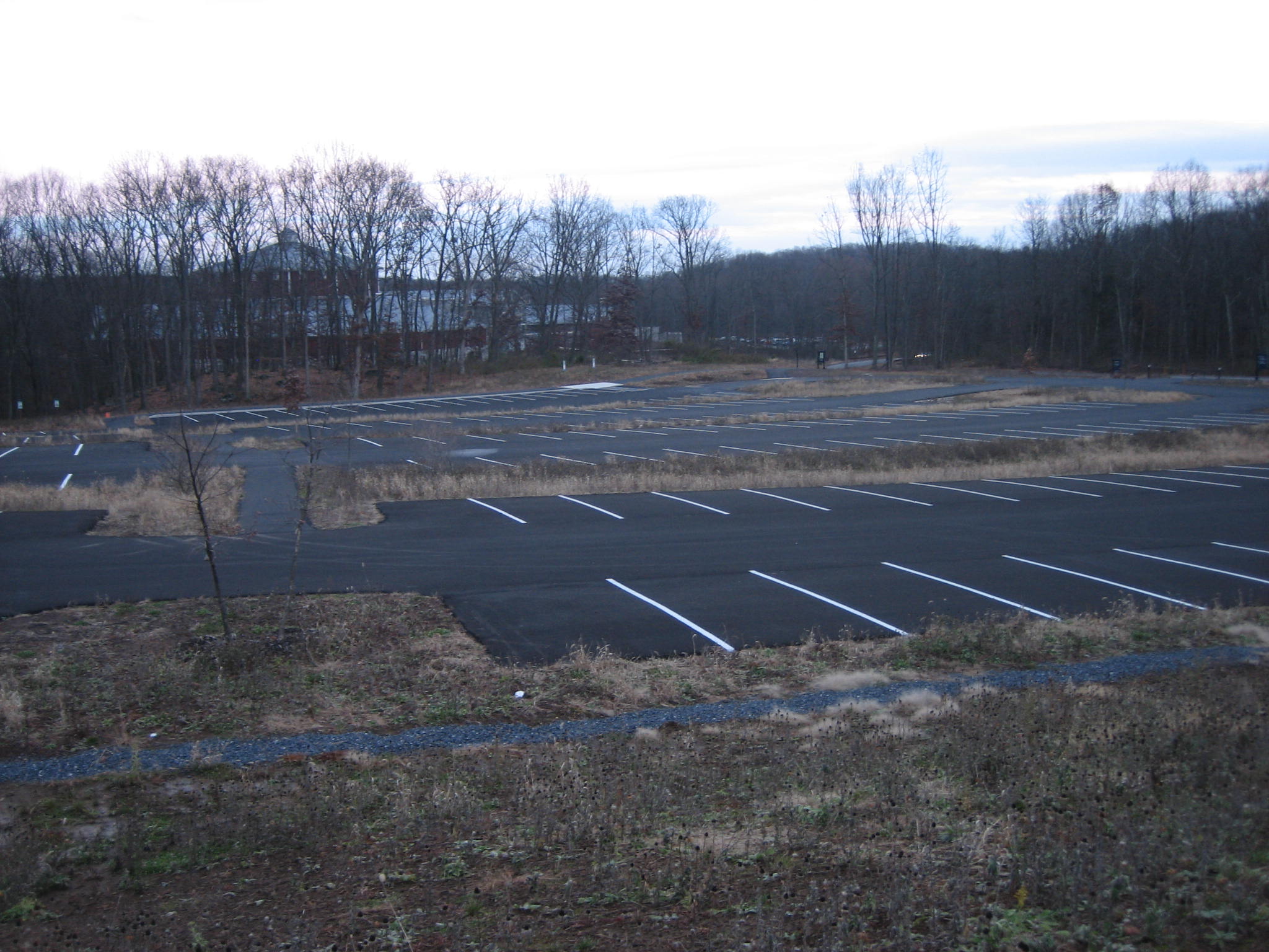 Winter Garden opens Boyd parking lot