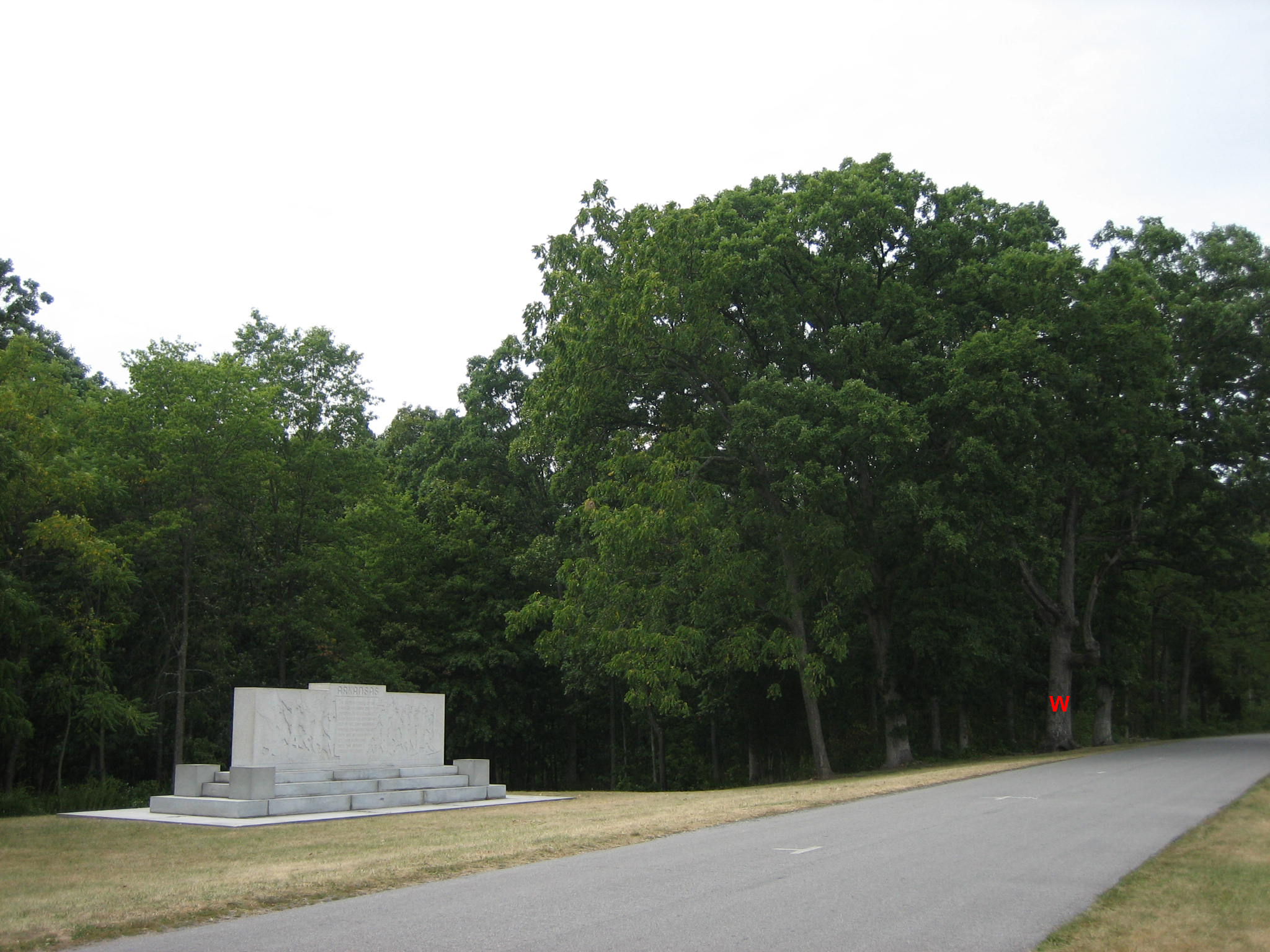 Another Slowly Dying Gettysburg Witness Tree | Gettysburg Daily