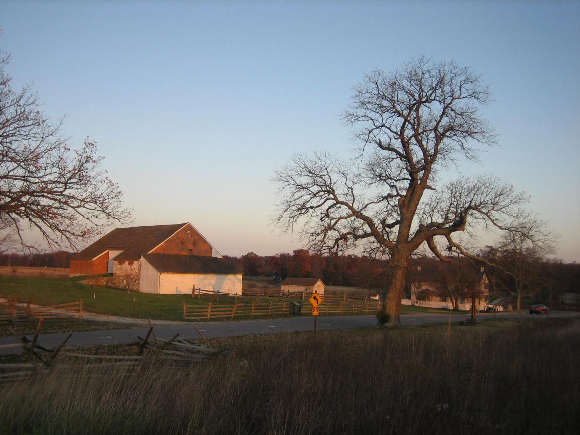 Witness tree and Trostle Barn