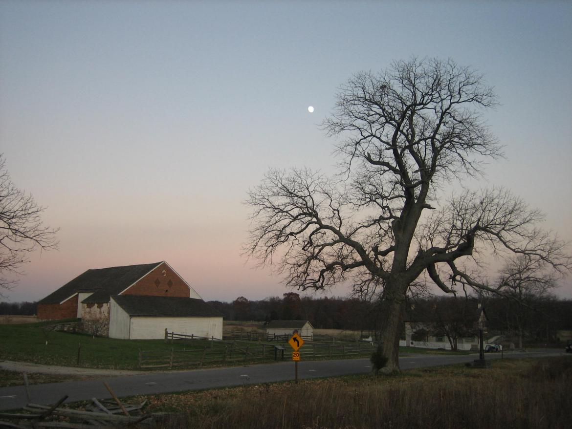 Far way view of Trostle Barn and Sickles Witness Tree