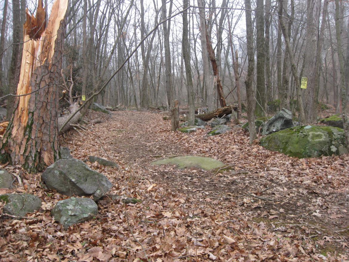 Natural markers on the trail